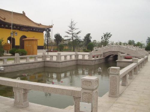 溱湖國家濕地公園圖片