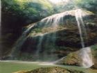 大口國家森林公園
