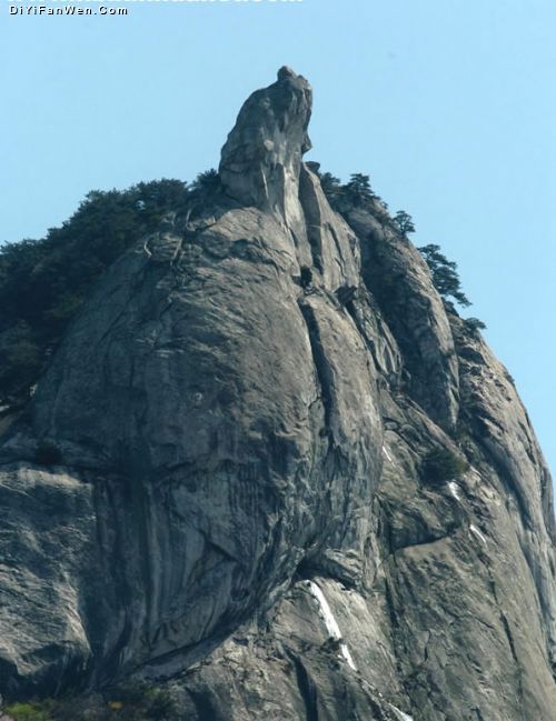 麻城龜山圖片