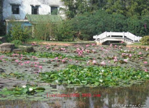 紫馬嶺公園圖片