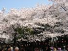 上野公園