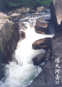 通天河國家森林公園圖片