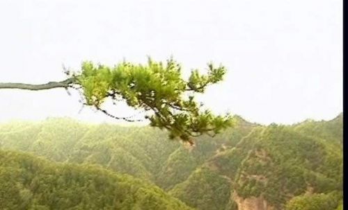 雲崖寺景區圖片