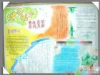 軍訓手抄報：勇往直前 捨我其誰