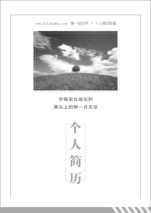 淺灰色簡歷封面