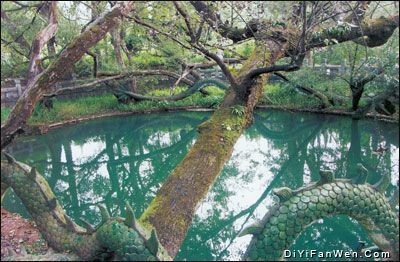 白邑黑龍潭旅遊區圖片