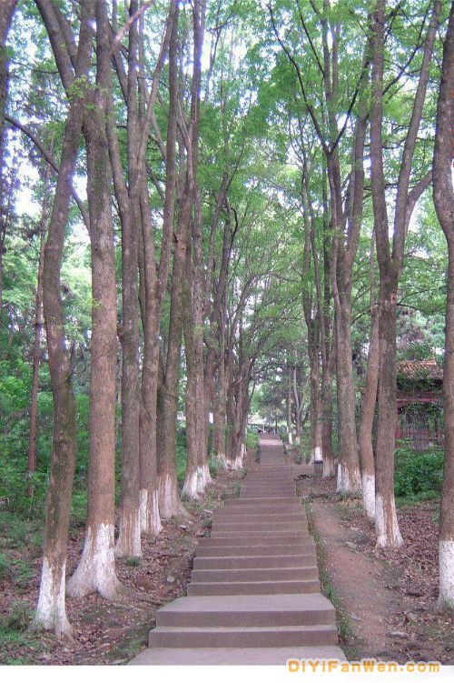 湖北隆中圖片
