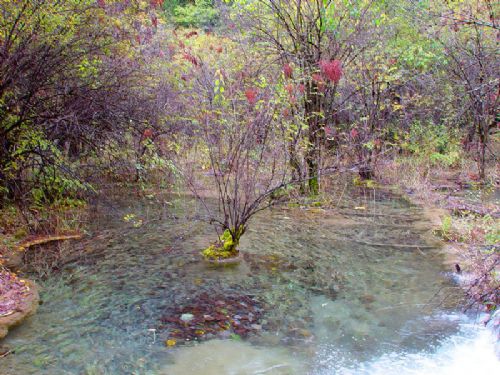 四川熊貓海圖片