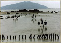 獐島圖片