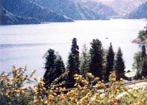 天池和森林圖片