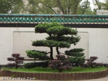 和平公園圖片