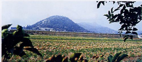 蓮青山生態旅遊區圖片