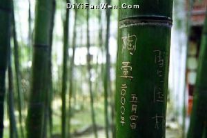焦山圖片