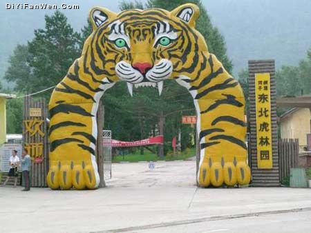 東北虎林園圖片
