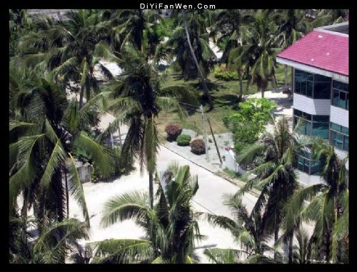 海南東郊椰林圖片