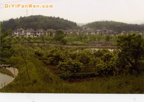 索溪峪自然保護區風景圖片