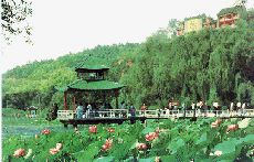 北山公園圖片