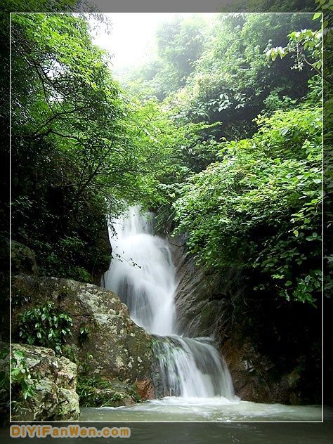大容山森林公園圖片