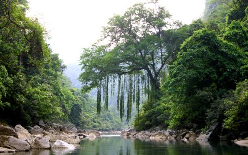 廣西布柳河風光圖片