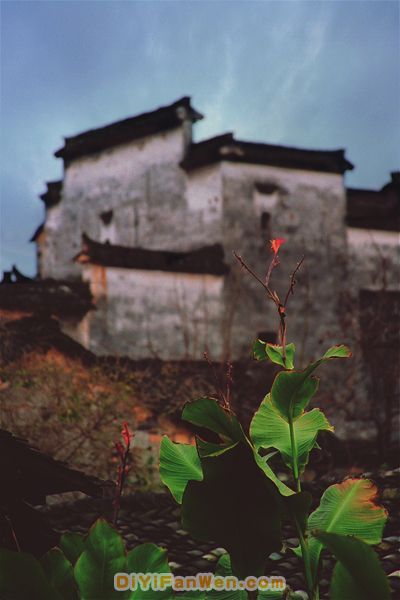 南屏圖片