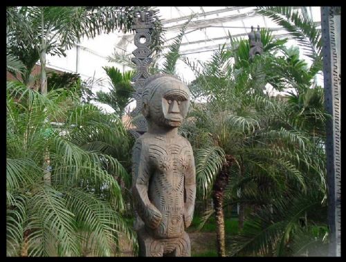 天津天津熱帶植物觀光園圖片