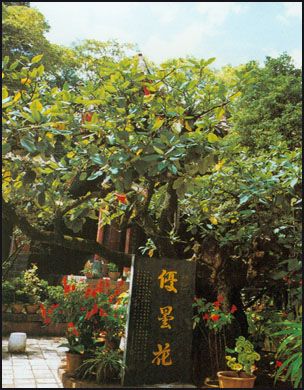 曹溪寺圖片