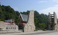 三明格氏栲國家森林公園圖片