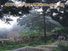 華頂國家森林公園