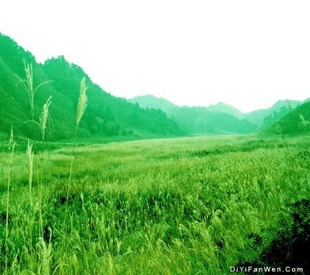 浙江大明山圖片