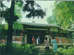 金城山森林公園圖片