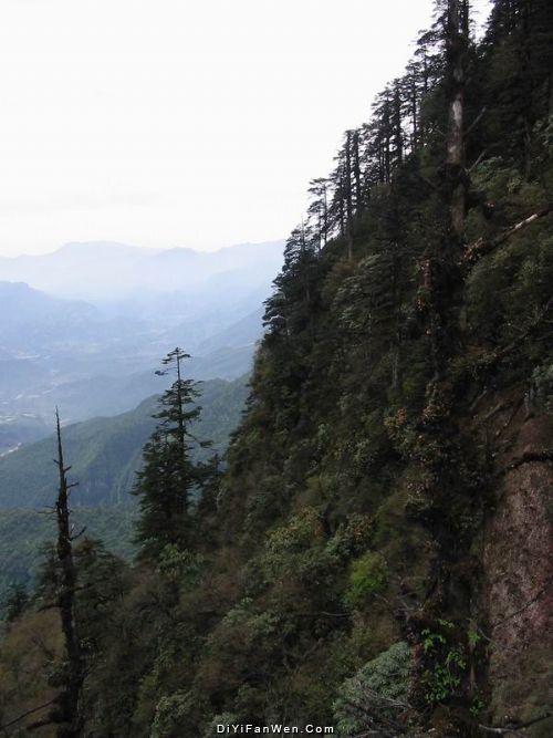 四川瓦屋山圖片