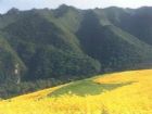 神話般的綠色山谷—吐魯溝
