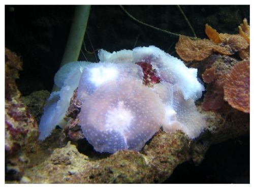 湖南長沙海底世界圖片