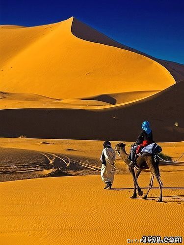 摩洛哥大漠圖片
