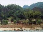 無蚊村