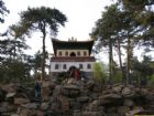 普寧寺