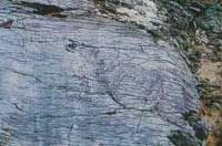 洪格爾岩畫群圖片