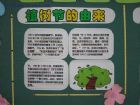植樹節手抄報：植樹節的感想