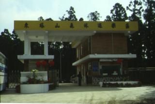 東眼山森林遊樂區圖片