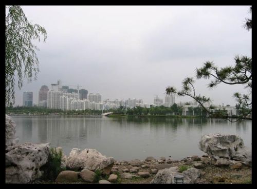 上海世紀公園圖片