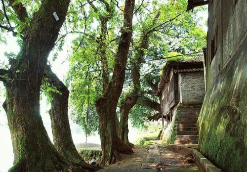 四川柳江古鎮圖片