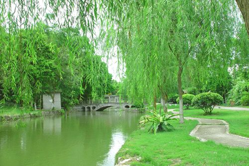 廣西藥用植物園圖片