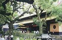 舟山風光圖片