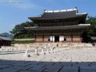 世界文化遺產昌德宮