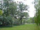 西湖柳浪聞鶯（舊十景）