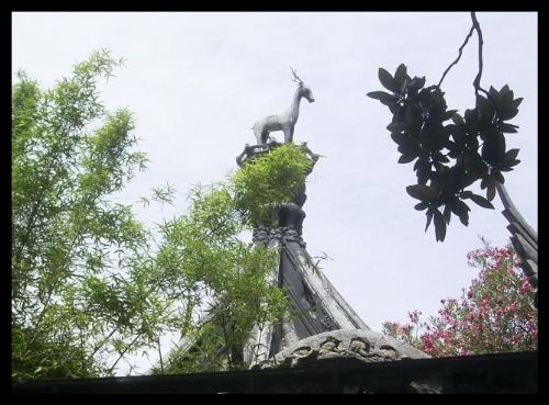 上海豫園圖片