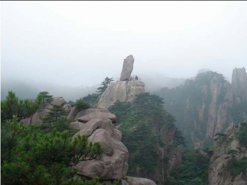 黃山奇松圖片