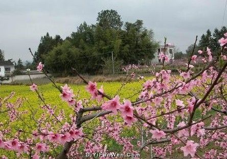 潯陽台圖片