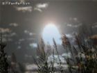 西湖平湖秋月（舊十景）