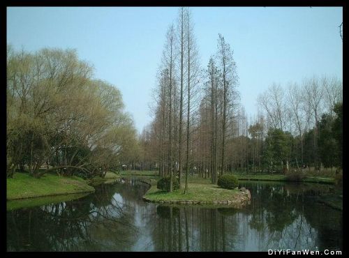 上海共青森林公園圖片